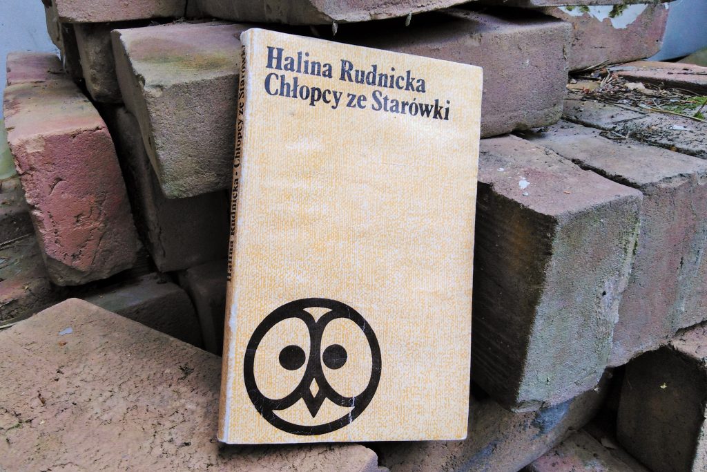 W ruinach Warszawy (Halina Rudnicka „Chłopcy ze Starówki”)