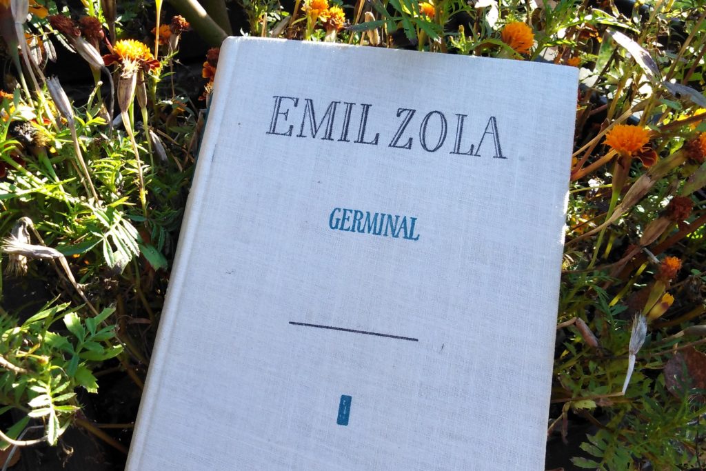Dzikie zwierzę (Emil Zola, „Germinal”)